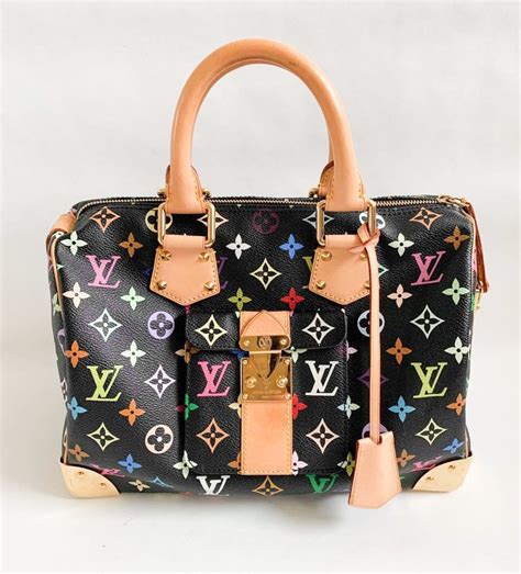 louis vuitton speedy multicolor